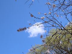 -香山公园
