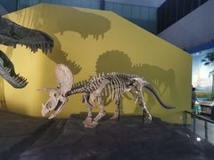 -湖南省地质博物馆