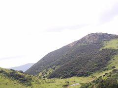 -大姆山草场