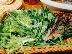 -鸽子窝(青塔店)