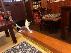 大堂-樱の花亭日本料理店