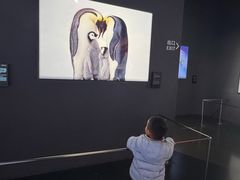 -罗红摄影艺术馆