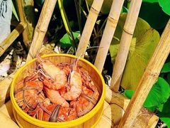 -七的湖·晚芳亭·阳澄湖农家菜·大闸蟹(莲花岛店)