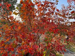 -青州市云门山风景区