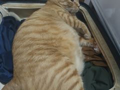 -中山大学附属第五医院