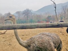 -西安秦岭野生动物园