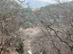 -天津盘山风景名胜区