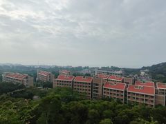 -厦门国家会计学院