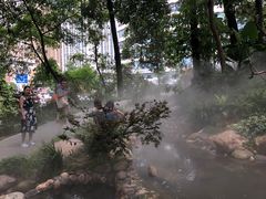 -成都市活水公园