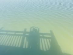 -南湖湿地公园