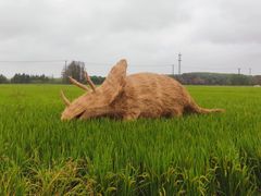 -嘉北郊野公园