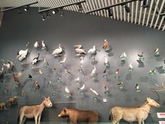 -中国湿地博物馆
