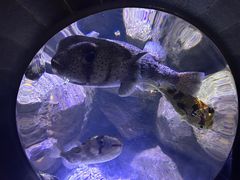 -成都浩海立方海洋公园