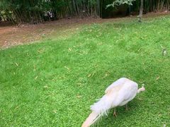 -昆明动物园