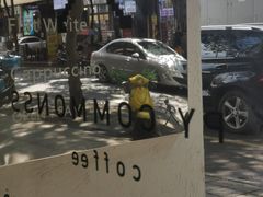 -常识咖啡common sense(春熙路店)