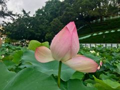 -龙环葡韵住宅式博物馆