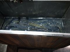 -黑鱼郭我家酸菜鱼(摩尔广场店)