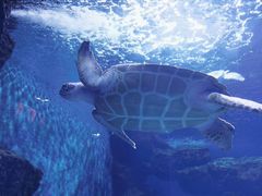 -多彩贵州城极地海洋世界