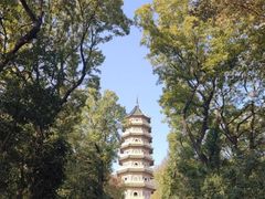 -灵谷景区