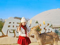 -盈香心动乐园