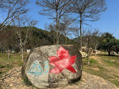 -广州市帽峰山景区