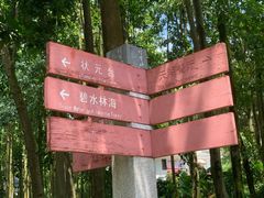 -广州市帽峰山景区