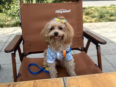 -西安京西宠物医院·瘫痪·疑难杂症