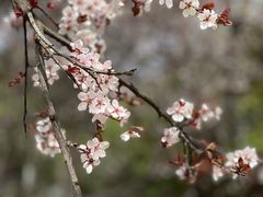 -白塘生态植物园