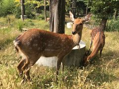 -观唐（国际）度假村温泉
