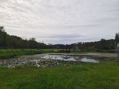 -宜兴龙背山森林公园