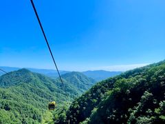 -栾川竹海野生动物园