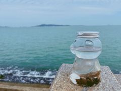 -悦海公园