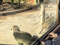 -石家庄市动物园