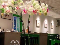 大堂-Carmen卡门西班牙餐厅