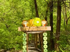 -大岭沟猕猴桃谷风景区