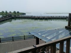 -新木器时代餐厅(太湖新天地店)
