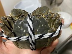 -七的湖·晚芳亭·阳澄湖农家菜·大闸蟹(莲花岛店)