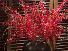 -北方家宴(番禺永旺店)