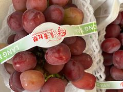 -马陆小张葡萄园农家乐