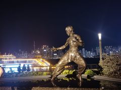 -星光大道