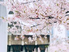 -龙美术馆(西岸馆)