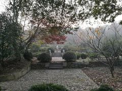 -雨花胜境
