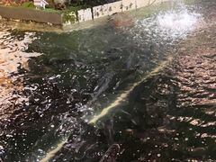 -上海天目湖宾馆-停车场