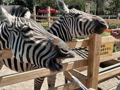 -水上乐园·欢乐世界