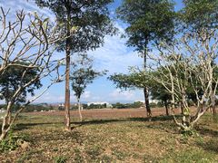 -西双版纳傣族园