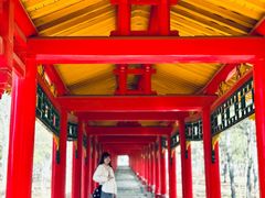 -乌素图国家森林公园