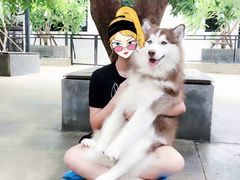 -TrueLove @ Neverland (Husky Cafe)