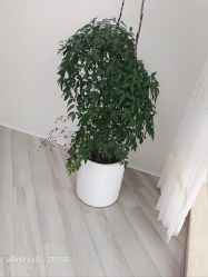 -HEYAN荷妍专业脱毛连锁机构