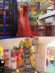 -爱丽丝奇幻乐园