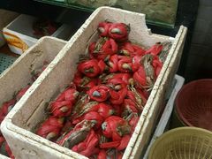 -莲花公园煎蟹(总店)